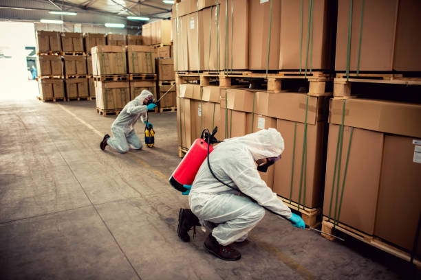 Best Emergency Pest Control  in Beverly Hills, FL