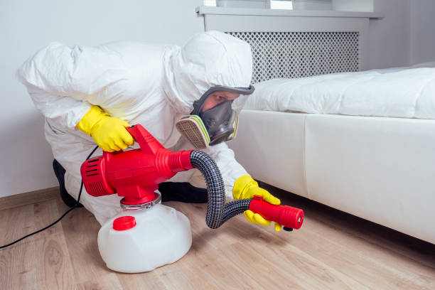 Best Termite Control Services  in Beverly Hills, FL