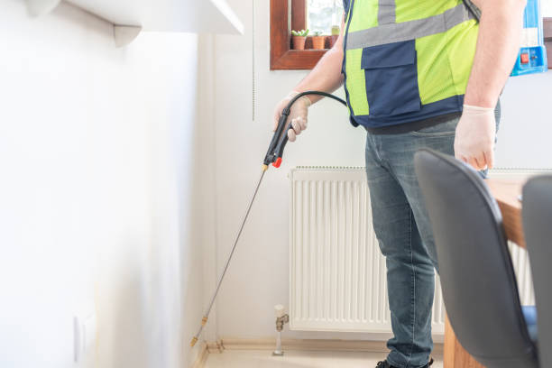 Reliable Beverly Hills, FL Pest Control Solutions