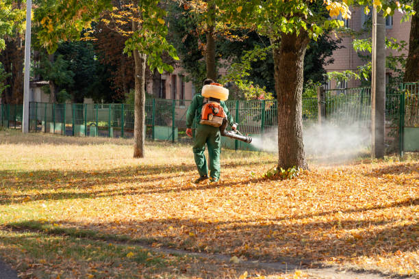 Best Rat Extermination Near Me  in Beverly Hills, FL