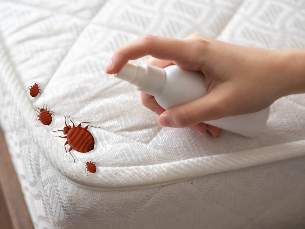 Best Cockroach Control Services  in Beverly Hills, FL