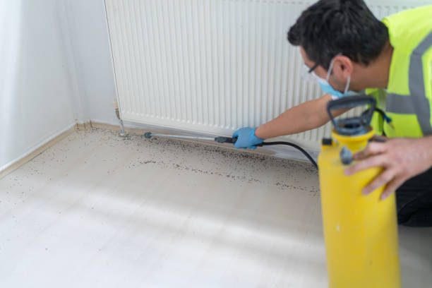 Best Affordable Pest Control Services  in Beverly Hills, FL