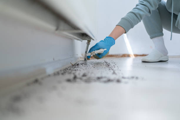 Best Residential Pest Control  in Beverly Hills, FL